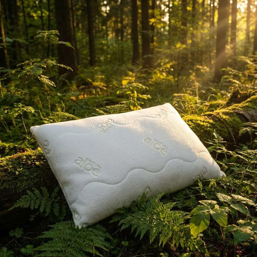 Natura Aloe Dream Mate Outdoors Image