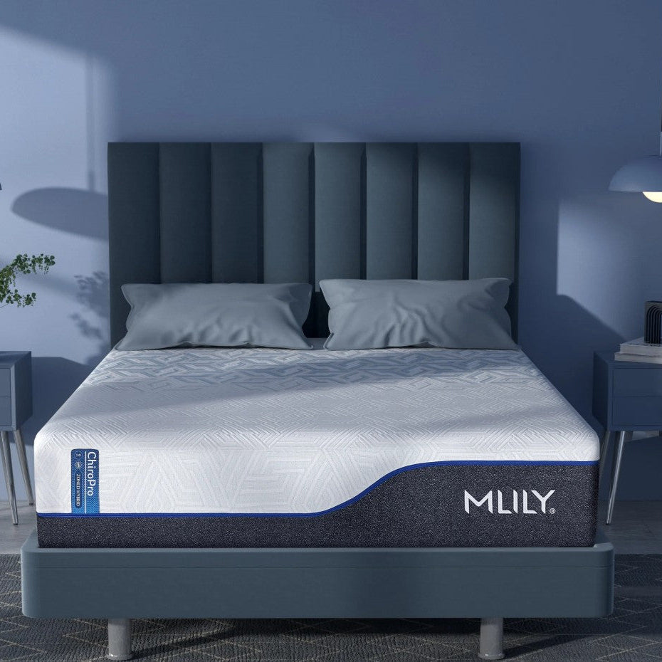 Chiro Pro Firm Mattress by MLILY