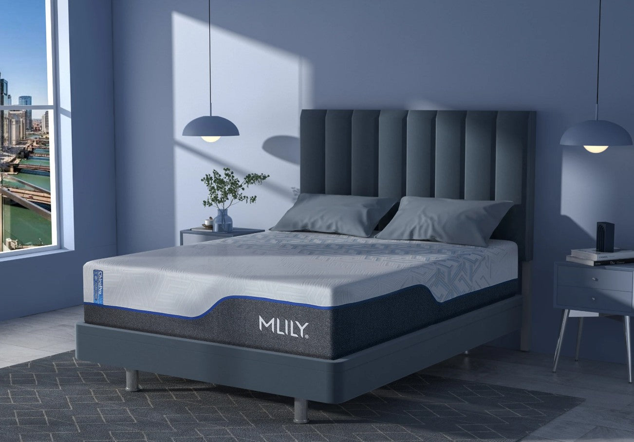 Bed and Base Co.