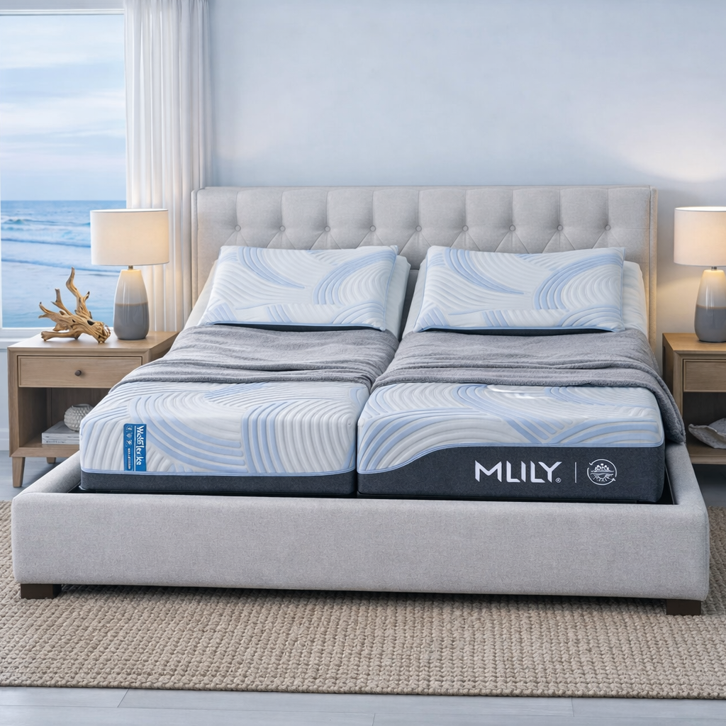 Bed and Base Co.