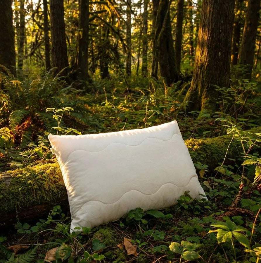 Natura Dream Mate LAtex Pillow