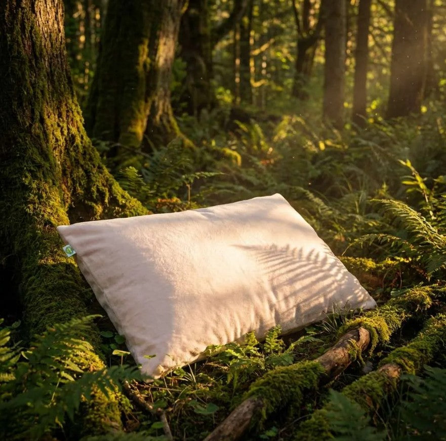 Natural Talalay Latex Pillow - Solid Core