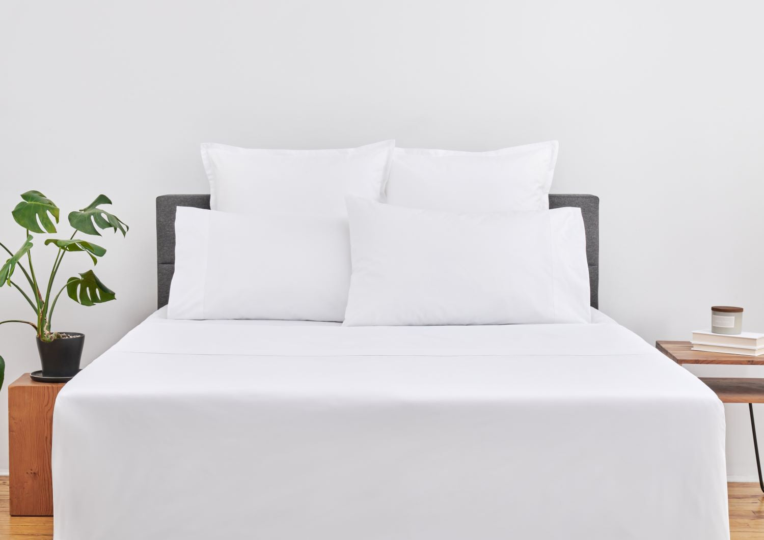 Bed and Base Co.