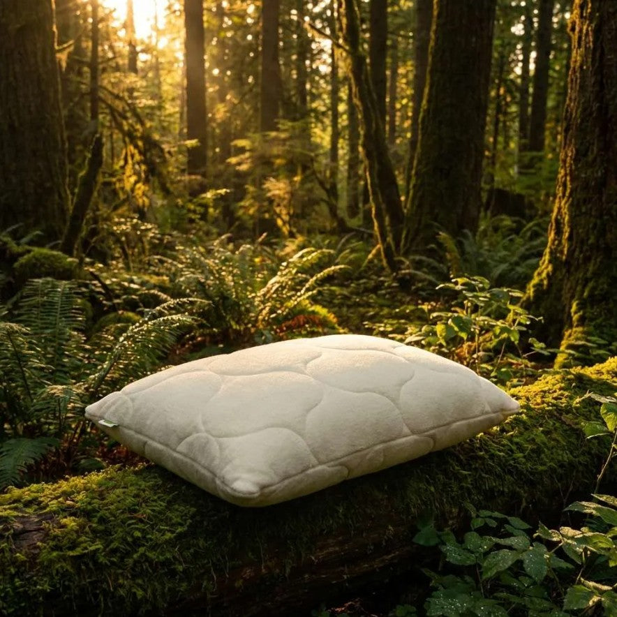 Natura Ultimate Talalay Latex Pillow - Covered in Cotton Terry and Wool.