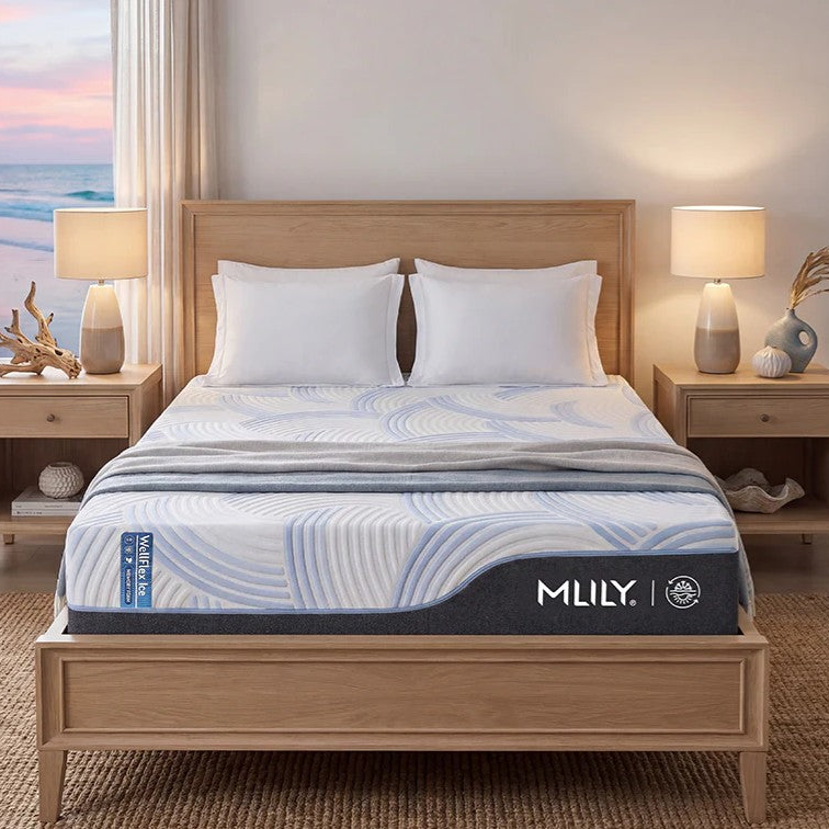 Bed and Base Co.